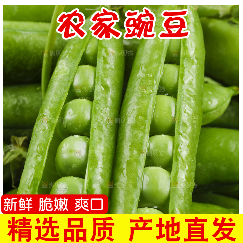 黑底上堆放着豌豆角