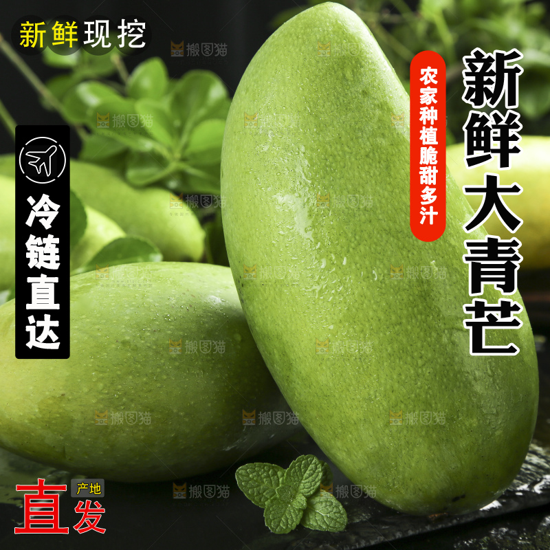 黑底上放着越南大青芒