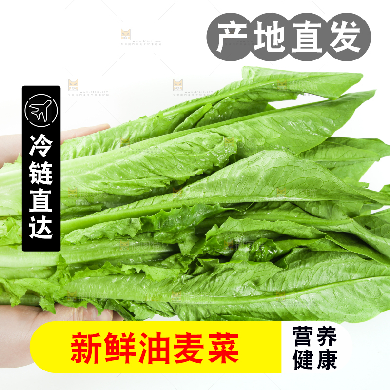 白底上的嫩油麦菜