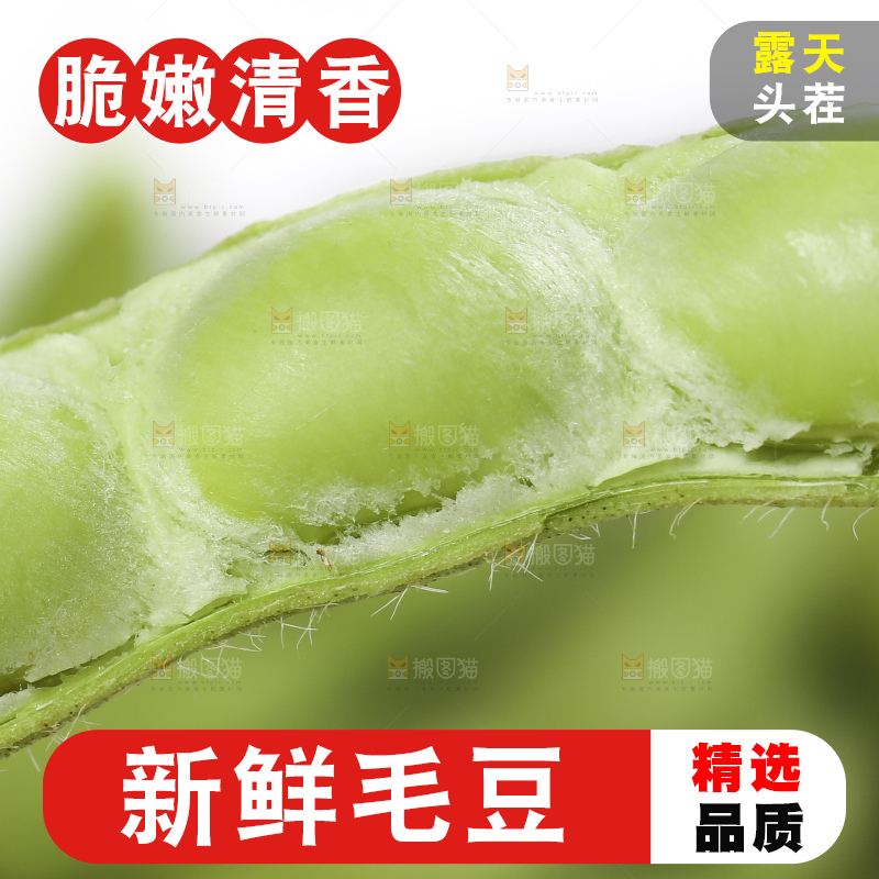 白底上放着一筐新鲜毛豆