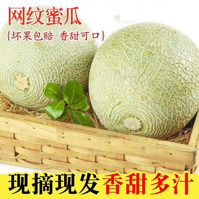 白底上放着新鲜玫珑网纹蜜瓜