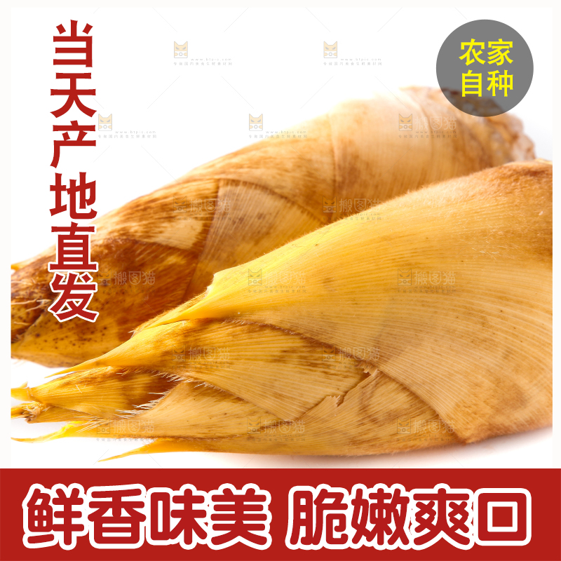 白底上摆放着冬笋