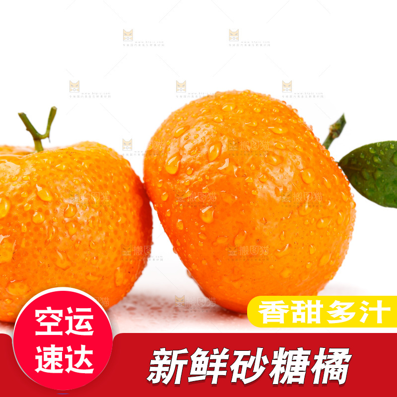 白底上放着砂糖橘