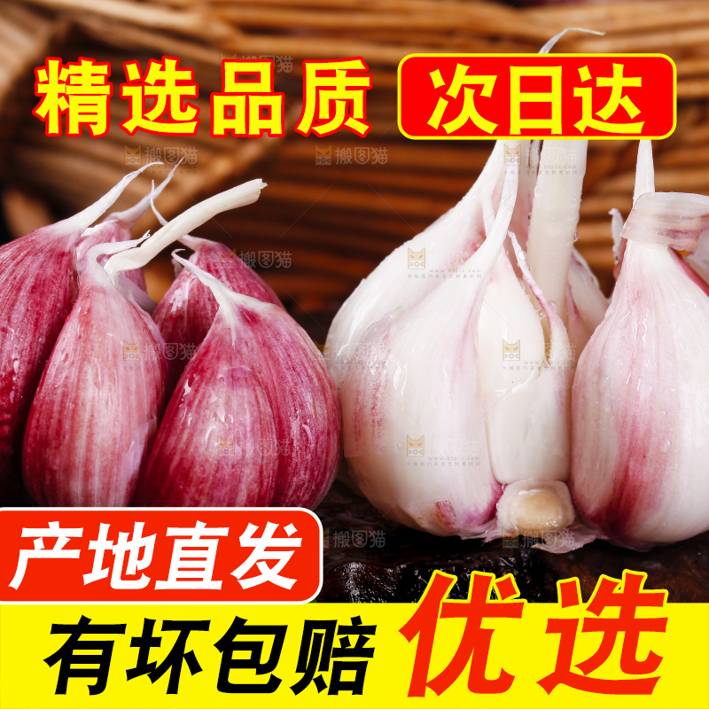 深底上放着云南新鲜紫皮大蒜