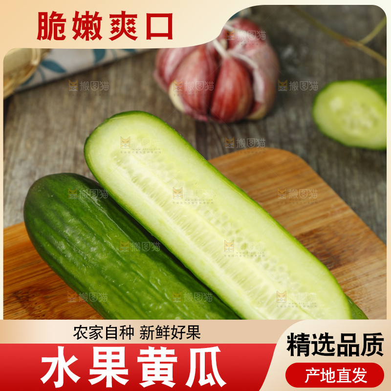 新鲜的山东水果黄瓜放在木板上