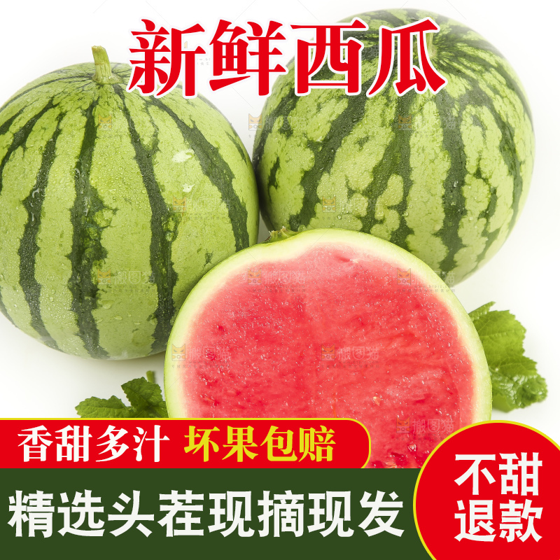 切开的麒麟西瓜放在白底上