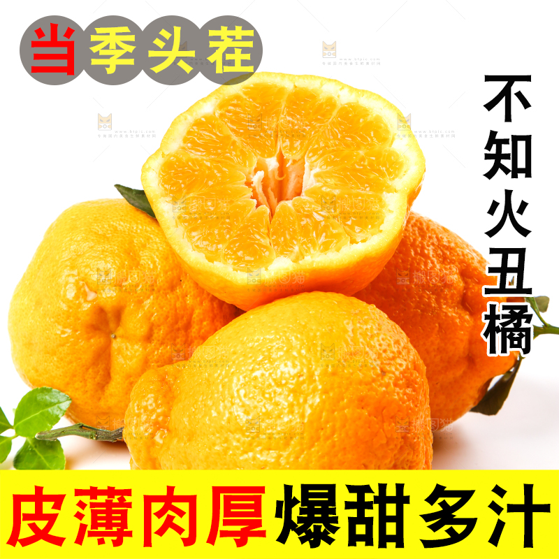 新鲜的丑橘放在白底上