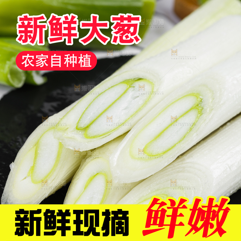 格子底上的大葱