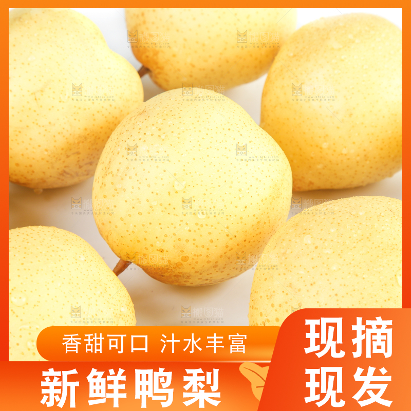 白底上摆放着鸭嘴梨