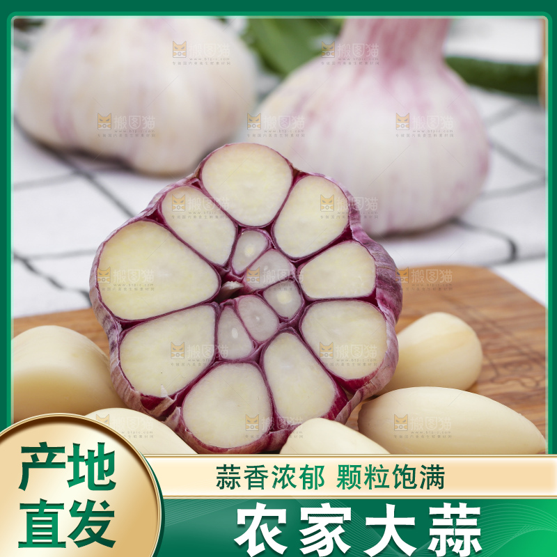 浅底上放着新鲜山东紫皮大蒜头
