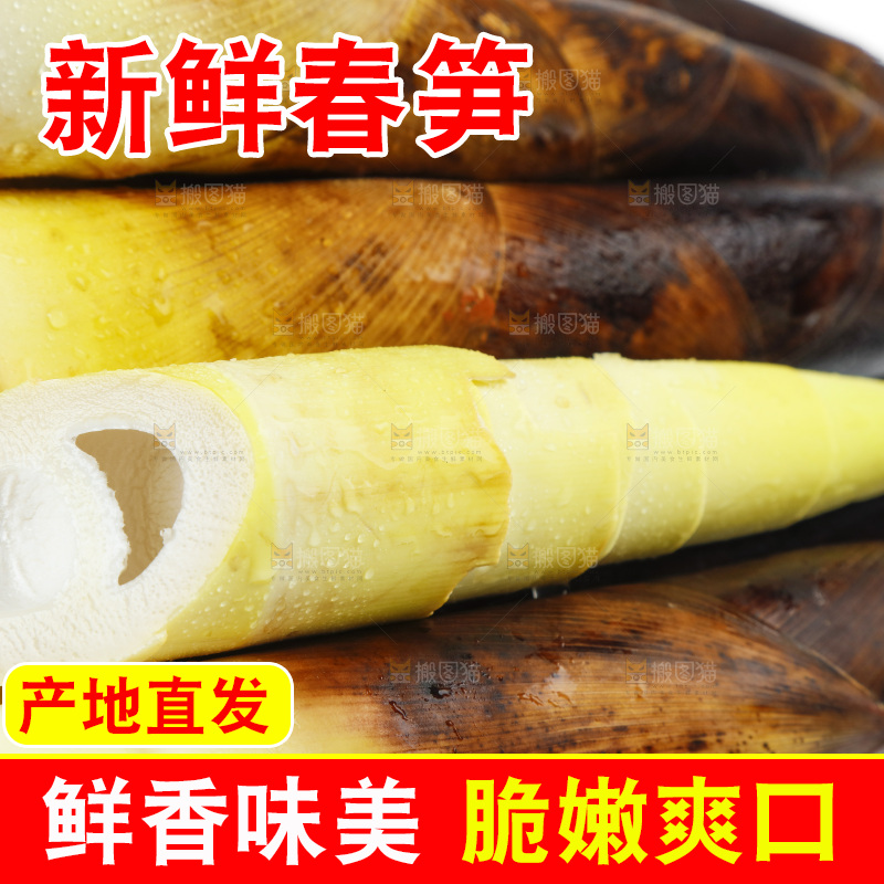 白底上放着一堆临安春笋