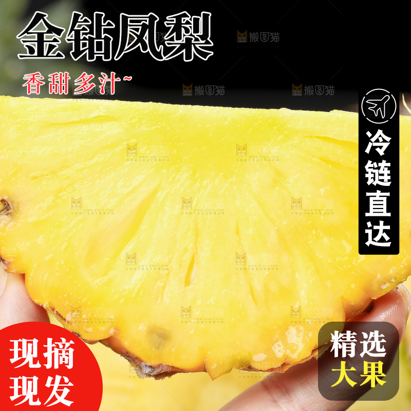手拿切开的海南金钻凤梨