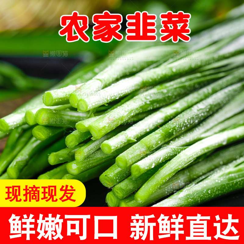 黑石板上的韭菜