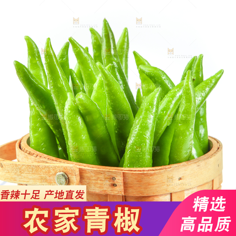 格子底上放着青杭椒