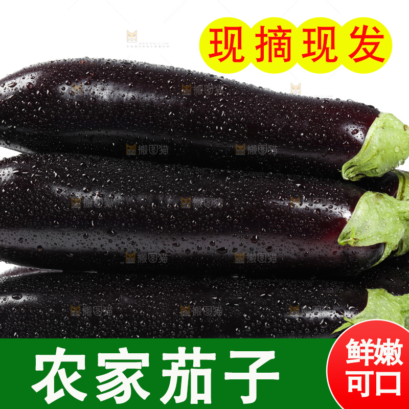 白底上的紫茄子