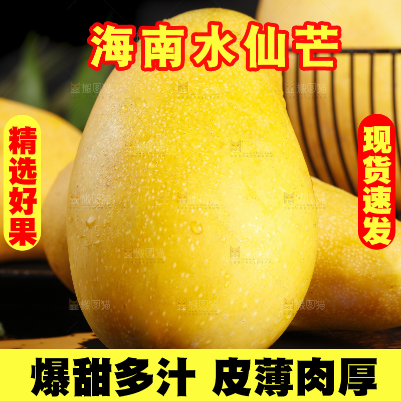 黑石板上放着新鲜的水仙芒