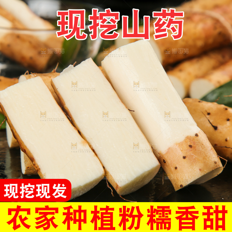 深底上的小白嘴山药