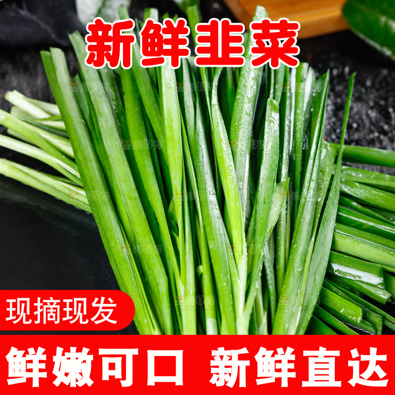 黑石板上的韭菜