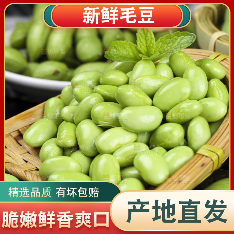 深底上放着新鲜毛豆粒