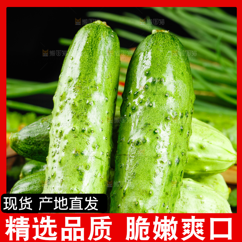 黑底上放着黄瓜