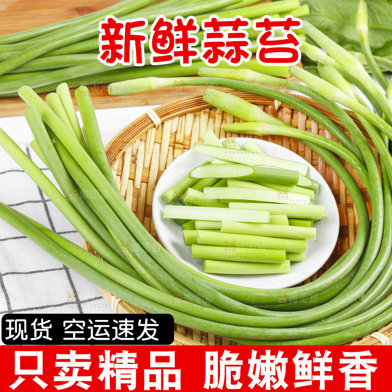 格子底上摆放着蒜豪