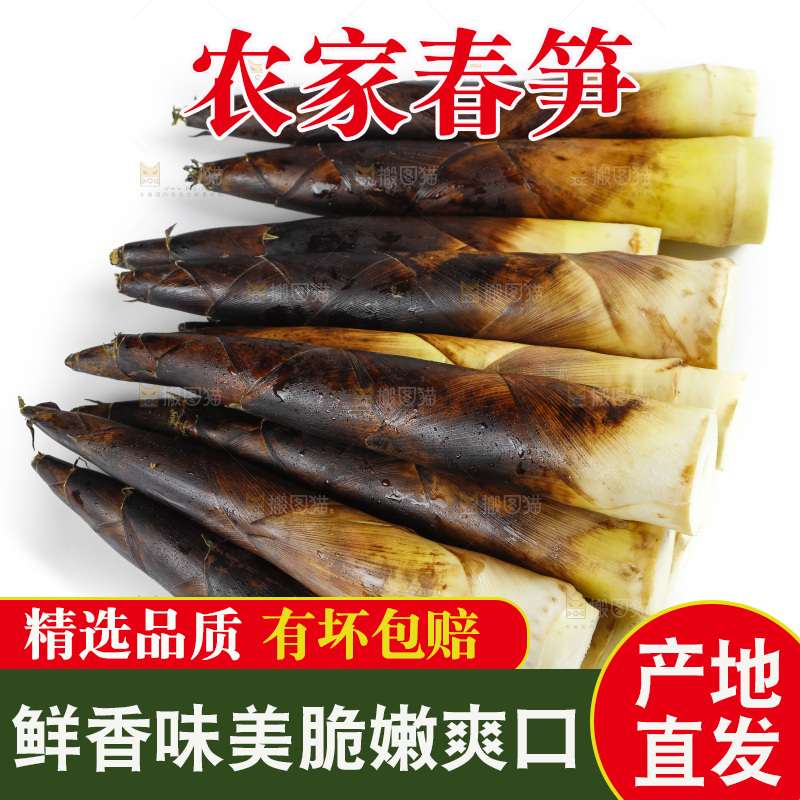 白底上放着一堆临安春笋