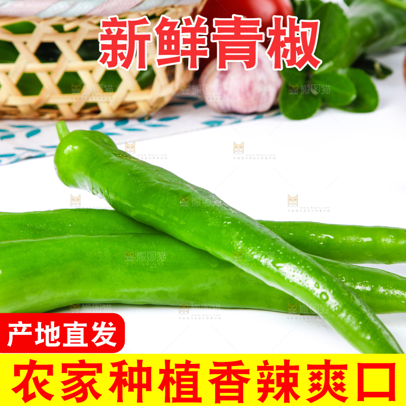 浅底上的青辣椒