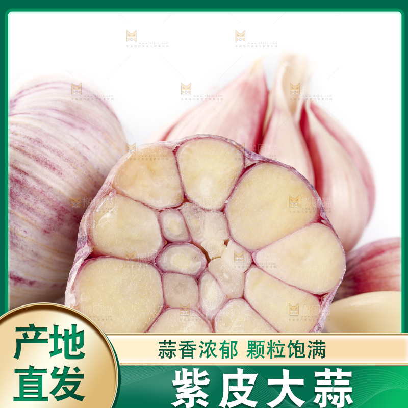 白底上放着新鲜紫皮大蒜头