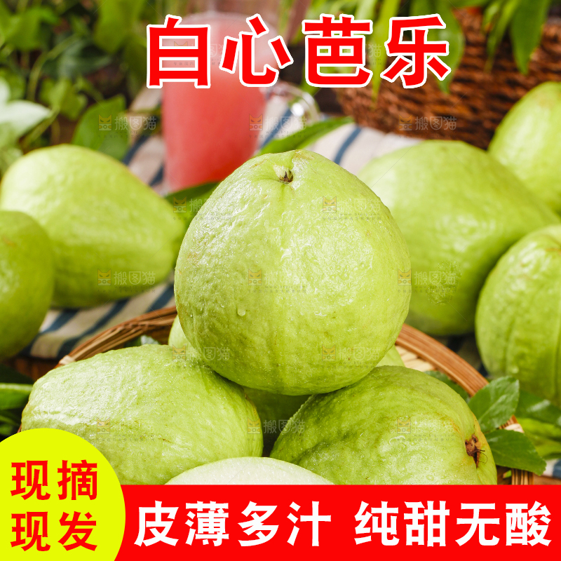 篮子里的白心芭乐