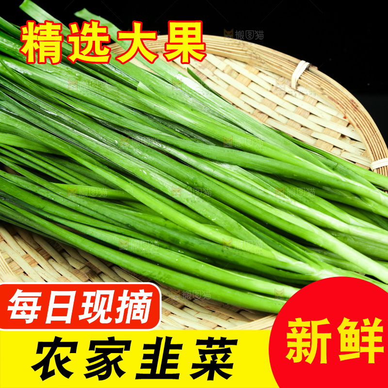 黑底上堆放着韭菜