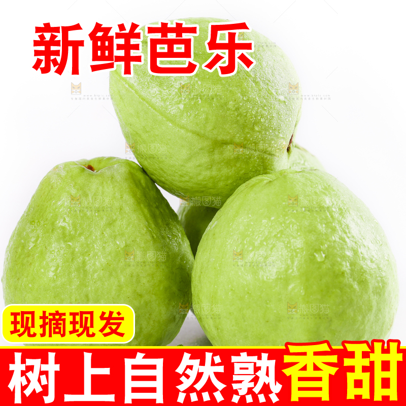 白底上放着白心芭乐