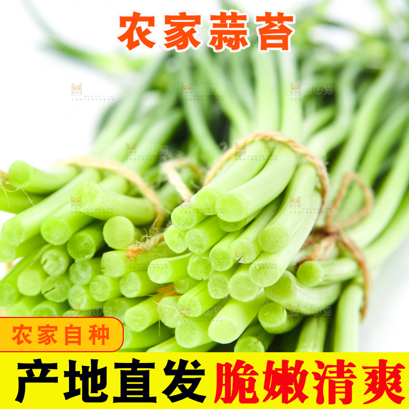 白底上放着新鲜蒜苔