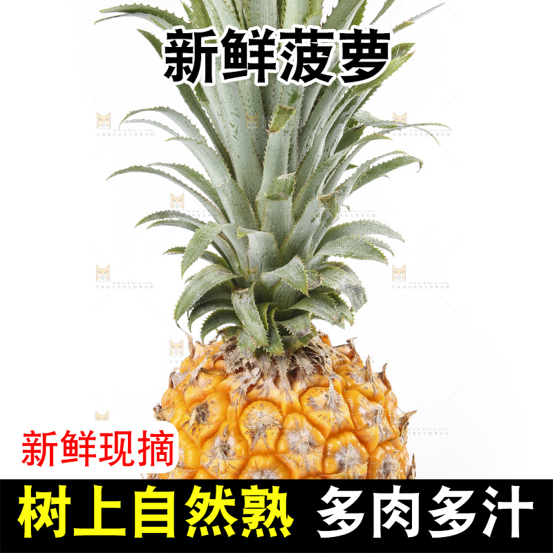 白底上的新鲜菠萝