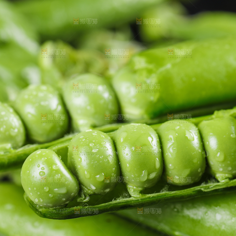 黑底上摆放着豌豆荚