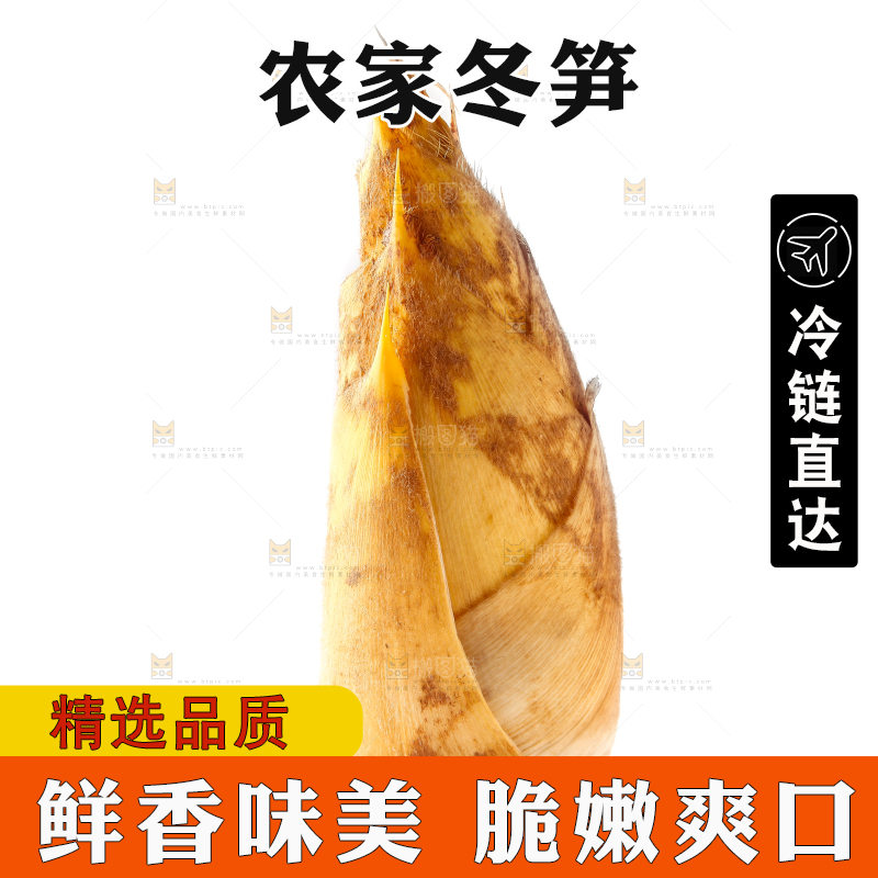 白底上摆放着冬笋
