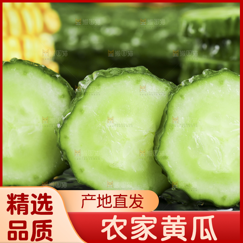深底上放着切开的新鲜青黄瓜