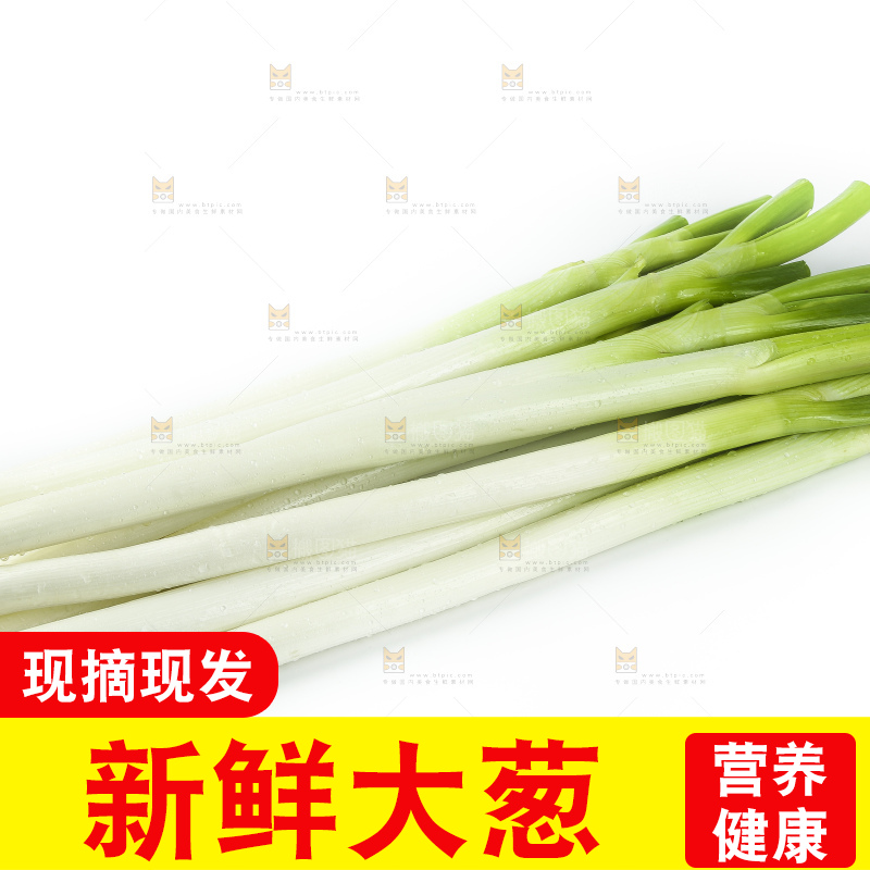 白底上放着一把大葱
