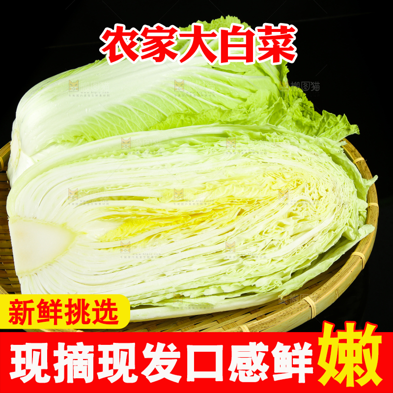 黑底上的黄心大白菜