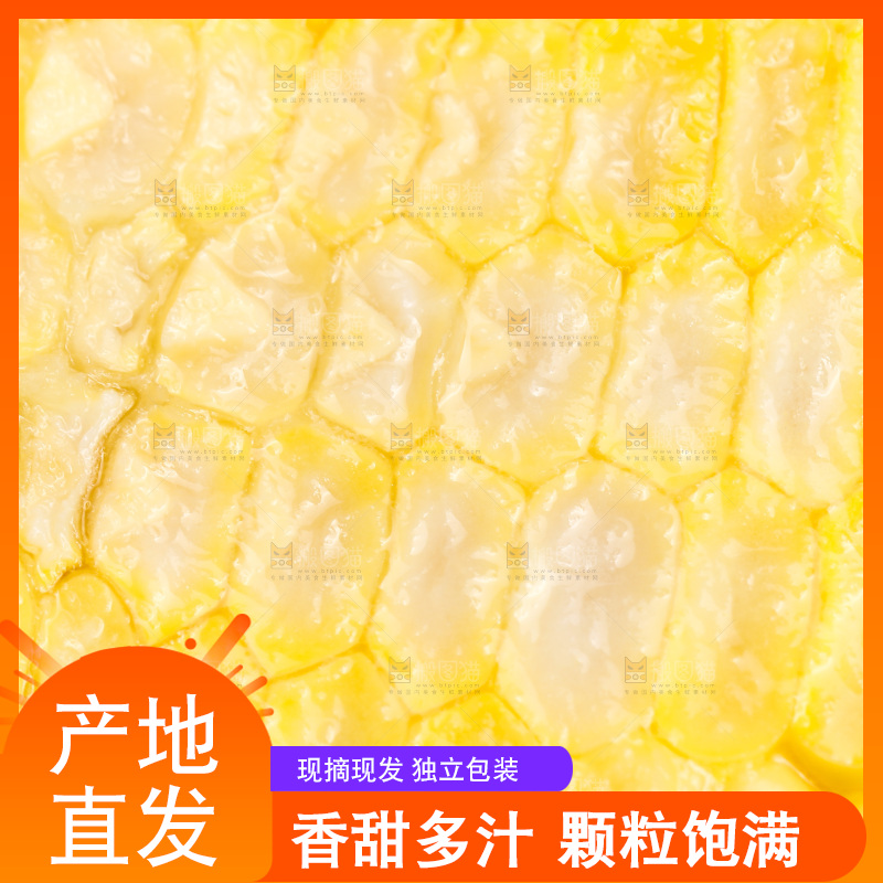 黑底上的玉米棒