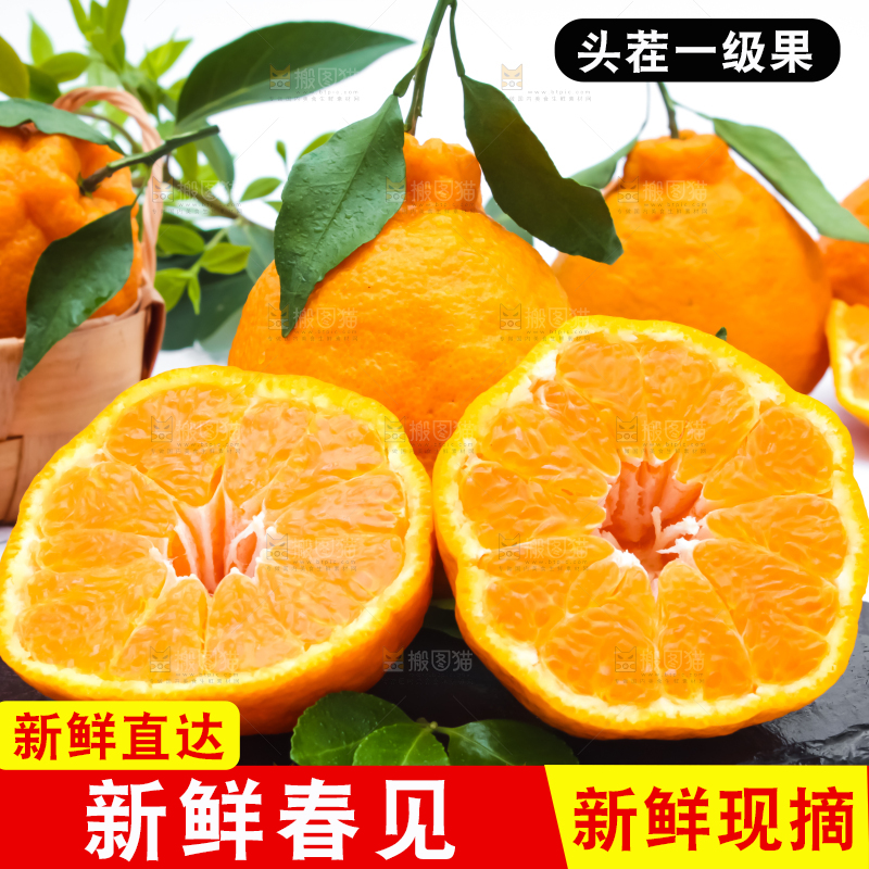 黑石板上放着切开的四川春见柑桔
