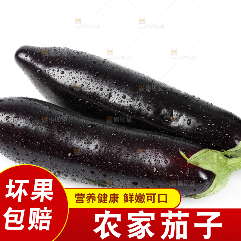 白底上的紫茄子