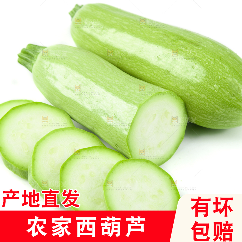 白底上摆放着茭瓜