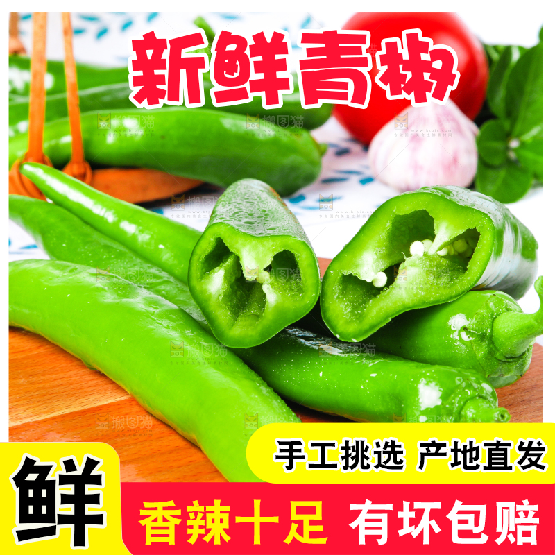 浅底上放着山东新鲜青椒