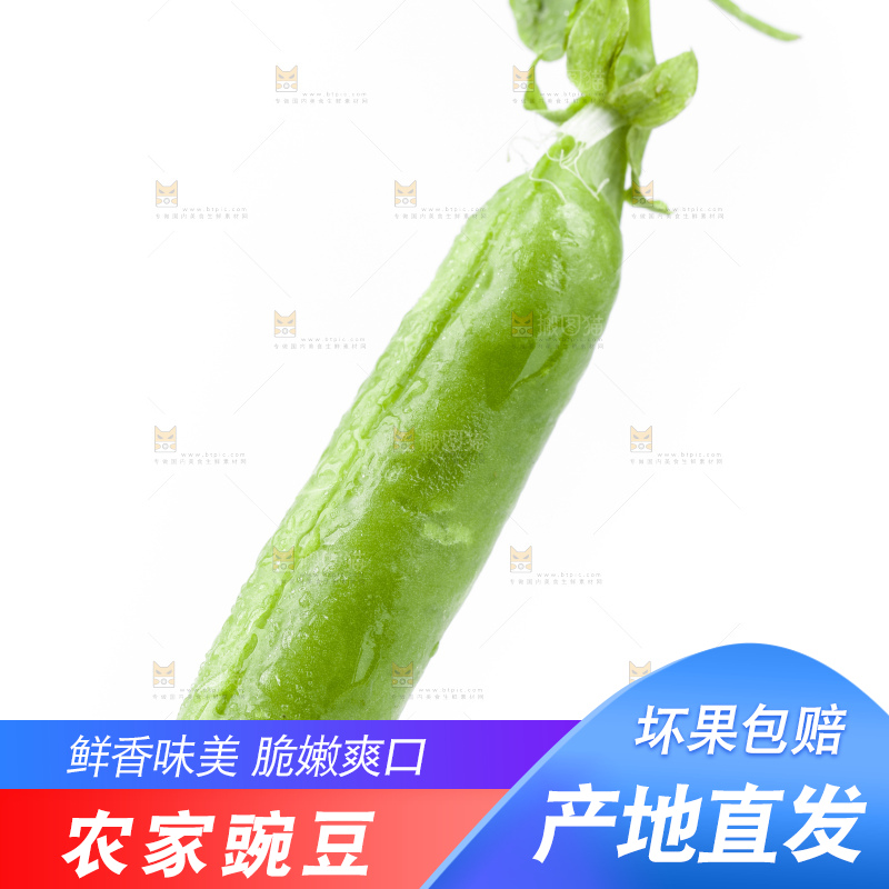 白底上堆放着豌豆