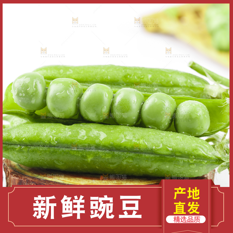 白底上的甜豌豆