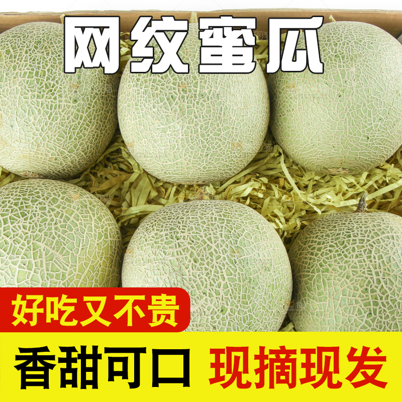 白底上放着一箱玫珑网纹蜜瓜