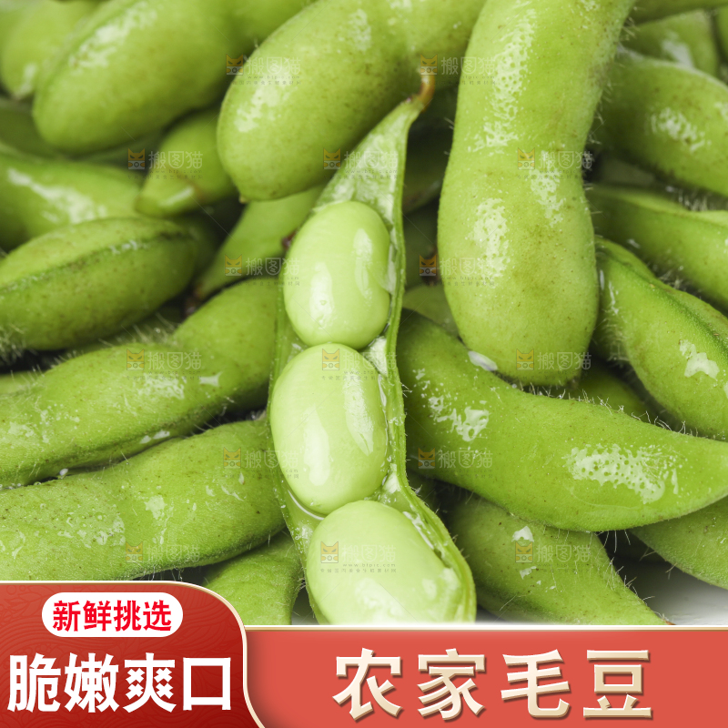 白底上放着四川新鲜毛豆