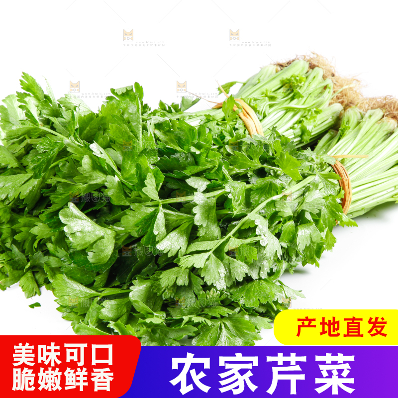 白底上的芹菜