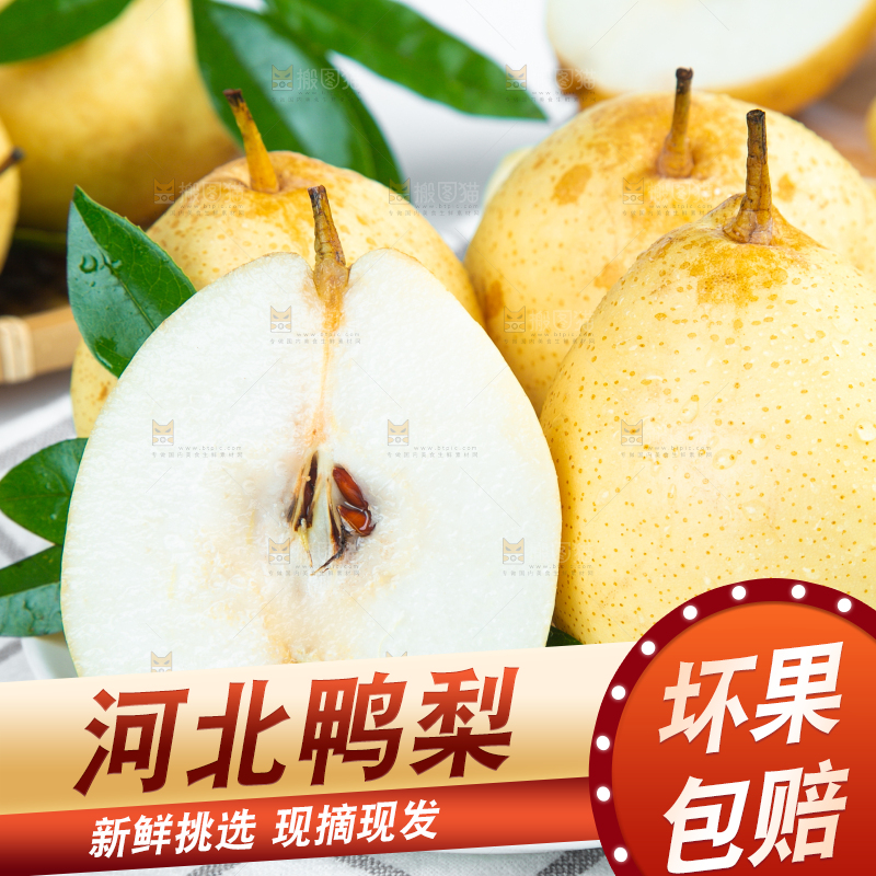 格子底上摆放着新鲜鸭梨