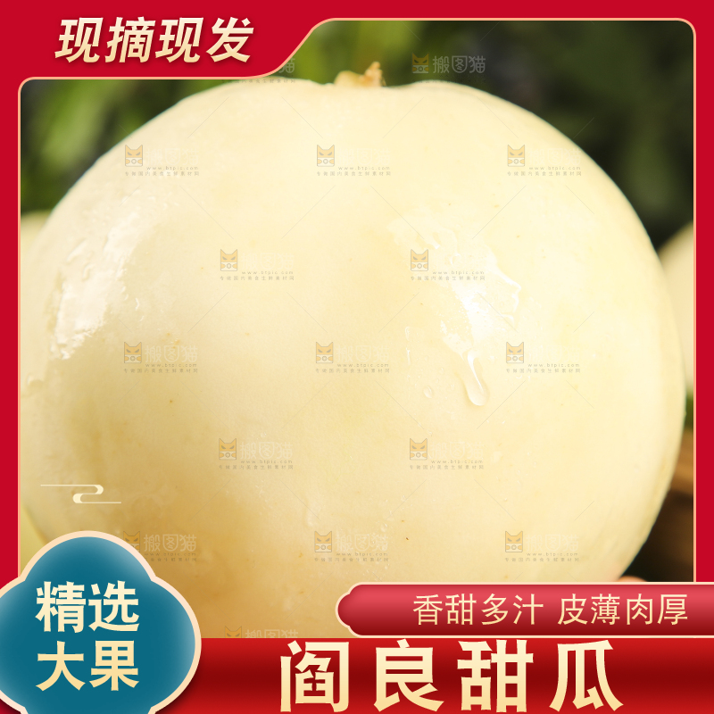 手里拿着陕西阎良甜瓜